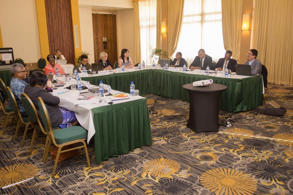 Latin America and the Caribbean advance in the validation of quality and evidence standards in Drug Demand Reduction