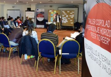 COPOLAD launches a “peer to peer” workshop series on value chains and Alternative Development